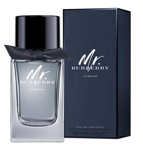 burberry touch vs indigo|burberry indigo perfume.